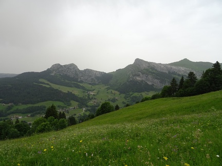 DSC08021