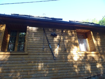 DSC08905