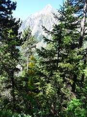 DSC08911